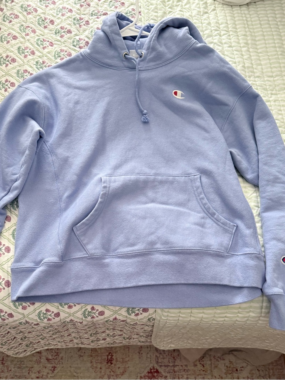 Blue Champion hoodie